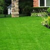 Emerald Green Lawn Care Service gift card