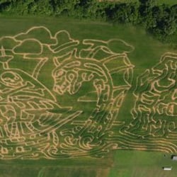 Wilcox Farms - 2014 "Big" Corn Maze. 8 miles long. Yes, they sell you a map for an additional $1.