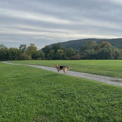 Jamesville Beach