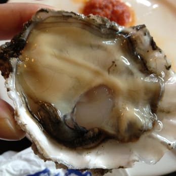 Taylor Shellfish Farms - Totter inlet (puget Pacifics) - Seafood Near Me - Seattle, Washington Taylor Shellfish Farms - Totter inlet (puget Pacifics) - Seafood Near Me - Seattle, Washington