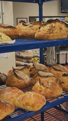Rebel Bread by null