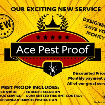 Ace Pest Management - Pest Control Near Me - Port Charlotte, Florida Ace Pest Management - Pest Control Near Me - Port Charlotte, Florida