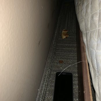 Days Inn by Wyndham Mitchell SD - Phone that was found between mattress and wall from previous guest along with pizza crust and some sort of sauce stain. - Hotels Near Me - Mitchell, South Dakota Days Inn by Wyndham Mitchell SD - Phone that was found between mattress and wall from previous guest along with pizza crust and some sort of sauce stain. - Hotels Near Me - Mitchell, South Dakota