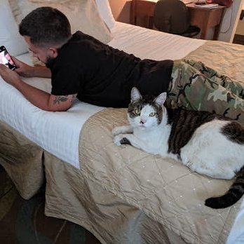 Grass Valley Courtyard Suites - The hotel cat was so friendly and cute! - Hotels Near Me - Grass Valley, California Grass Valley Courtyard Suites - The hotel cat was so friendly and cute! - Hotels Near Me - Grass Valley, California
