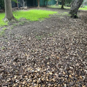 Mission City Arbor Group - Left a big mess for me to clean up - Tree Services Near Me - San Antonio, Texas Mission City Arbor Group - Left a big mess for me to clean up - Tree Services Near Me - San Antonio, Texas