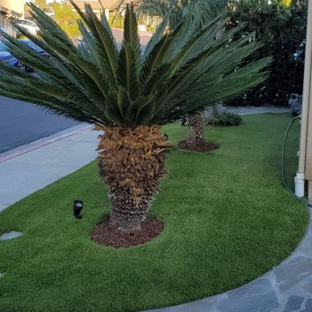 Turfworx - After all of the fantastic work was completed. - Artificial Turf Near Me - El Cajon, California Turfworx - After all of the fantastic work was completed. - Artificial Turf Near Me - El Cajon, California
