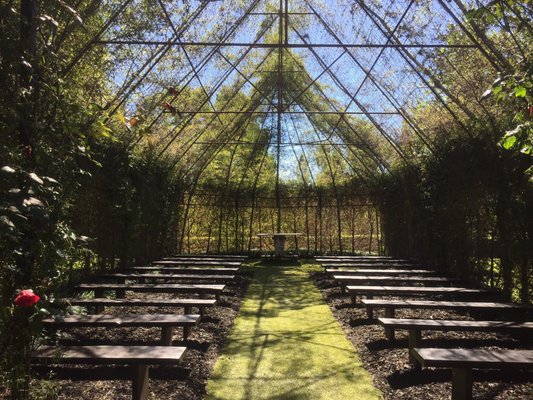 TreeChurch and Gardens by null