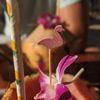 Tropicale gift card
