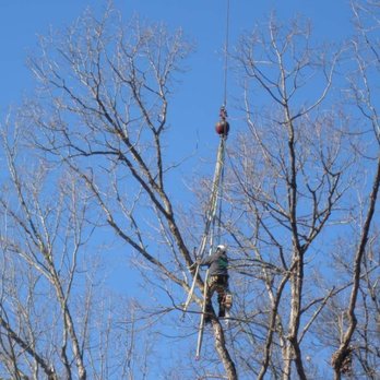 K&R Tree Service - Tree Services Near Me K&R Tree Service - Tree Services Near Me