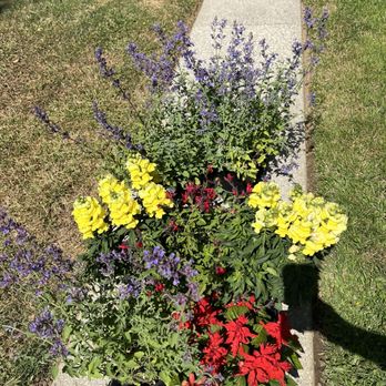 Parkview Nursery - Excellent selection - Nurseries & Gardening Near Me - Riverside, California