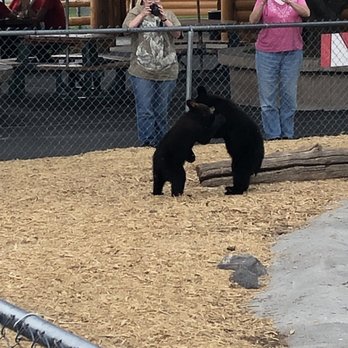 Yellowstone Bear World - Zoos Near Me - Rexburg, Idaho Yellowstone Bear World - Zoos Near Me - Rexburg, Idaho