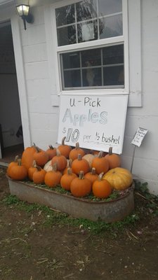 Coleman's Farm - Saline by null