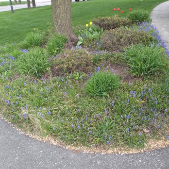 His Workmanship - Grand Rapids - Before - Landscaping Near Me His Workmanship - Grand Rapids - Before - Landscaping Near Me