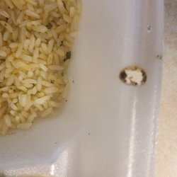 Captain D's - Holes burnt all the way through in several places.