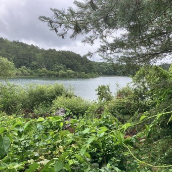 Nickerson State Park - View from bench - Hiking Near Me - Brewster, Massachusetts