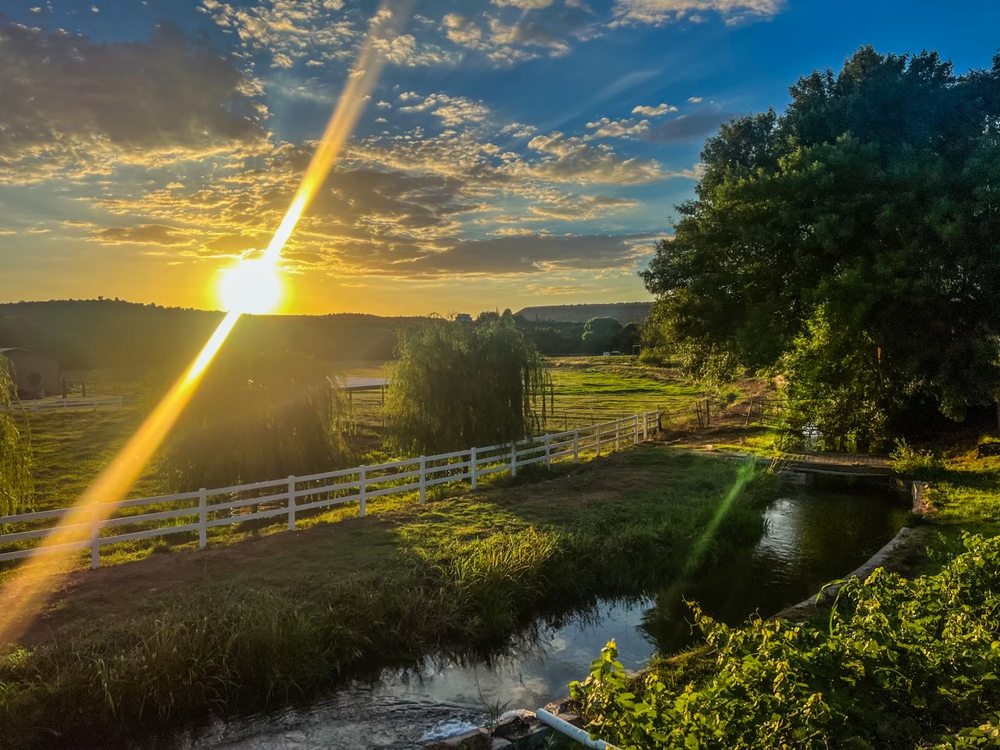 MISS Foundation - grief counselor in Phoenix, AZ