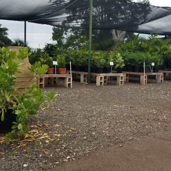 Mari's Gardens - Nurseries & Gardening Near Me - Mililani, Hawaii