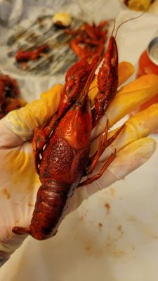 Pops Crawfish by null