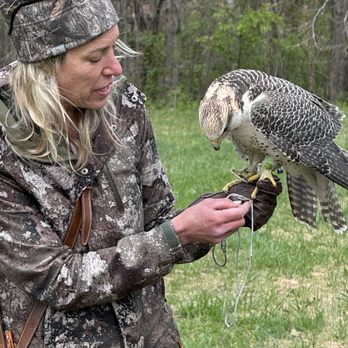 Wing Blade Falconry - Holly holding Moonbeam, a GYR falcon with 3 strains of ancestry. - Petting Zoos Near Me - Nashville, Tennessee Wing Blade Falconry - Holly holding Moonbeam, a GYR falcon with 3 strains of ancestry. - Petting Zoos Near Me - Nashville, Tennessee
