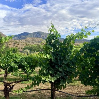 Sutcliffe Vineyards - Vines & views - Wine Tasting Room Near Me - Cortez, Colorado Sutcliffe Vineyards - Vines & views - Wine Tasting Room Near Me - Cortez, Colorado
