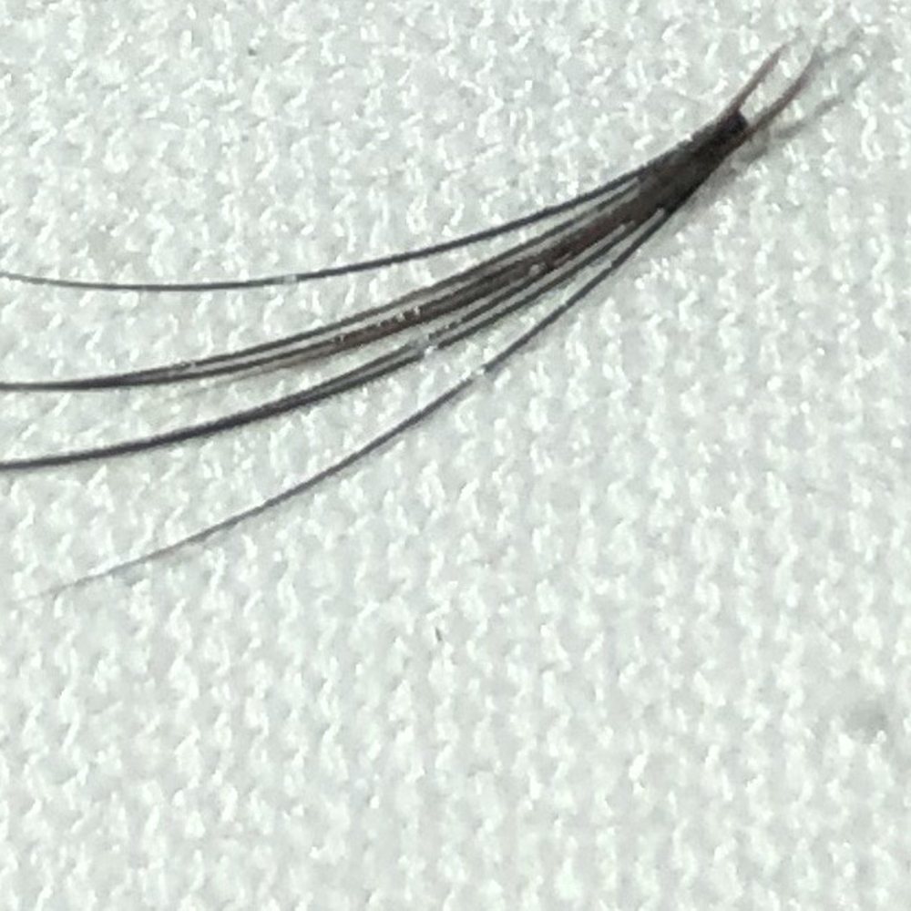 Amazing Lash Studio - Eyelash Service Near Me - Manassas, Virginia Amazing Lash Studio - Eyelash Service Near Me - Manassas, Virginia