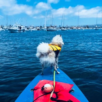 Paddle Board Newport Beach - Paddleboarding Near Me - Newport Beach, California