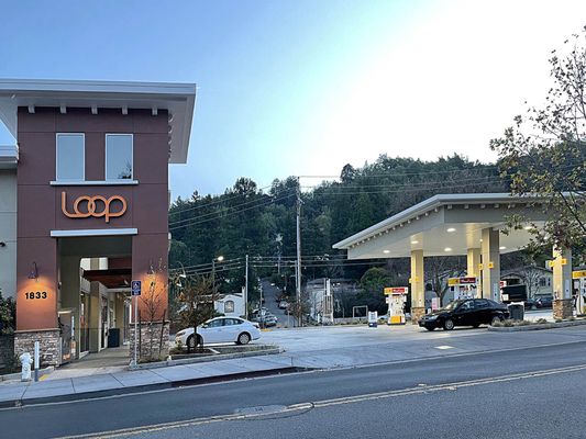 Loop Dog Wash Station