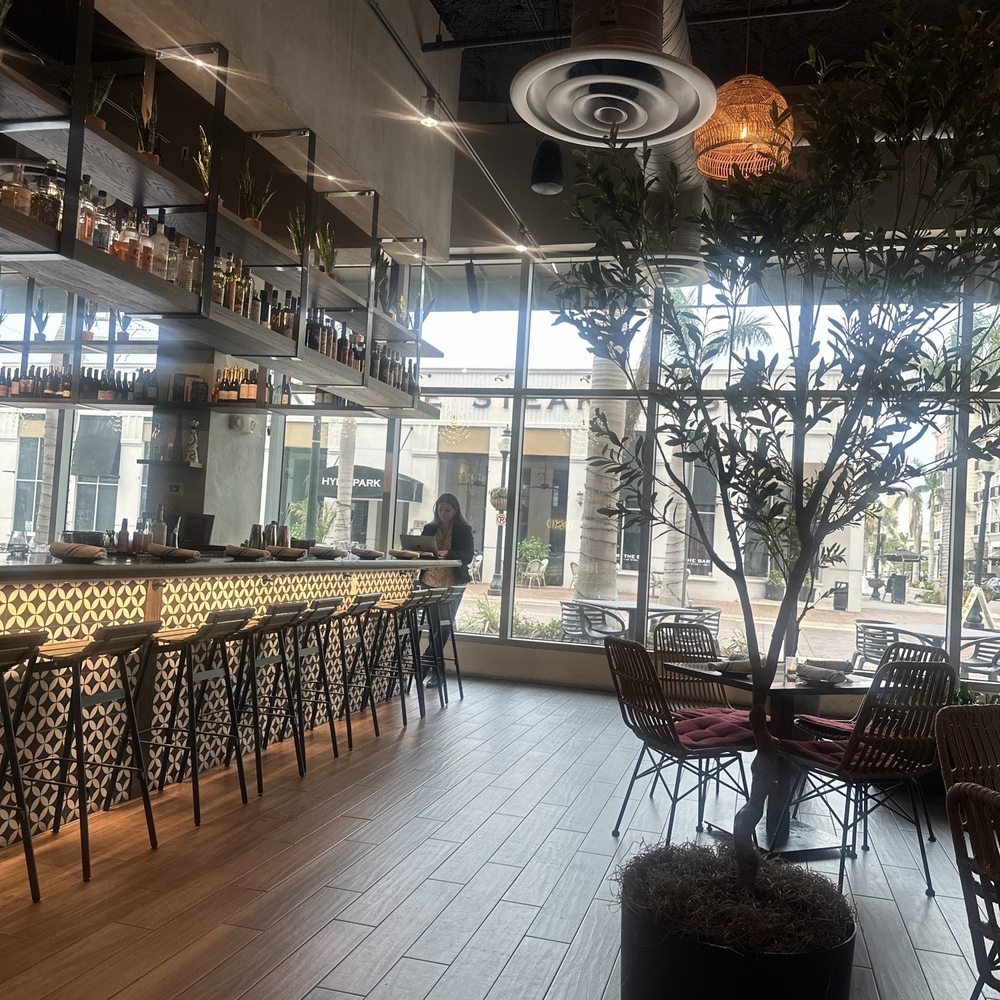Beso - Cocktail Bars Near Me - Sarasota, Florida