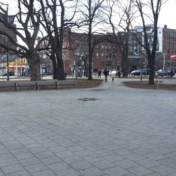Clarence Square Park - Dog Parks Near Me - Toronto, Ontario
