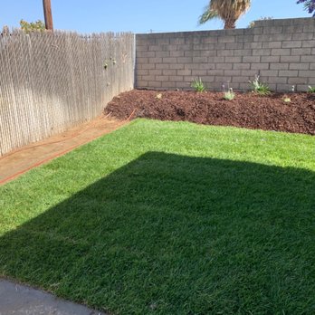 CM Landscaping Services - After photo showing east side of the backyard - Tree Services Near Me
