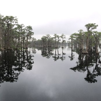 Banks Lake Outpost - Lakes Near Me - Lakeland, Georgia Banks Lake Outpost - Lakes Near Me - Lakeland, Georgia