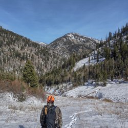 Wild Wyoming Outfitters