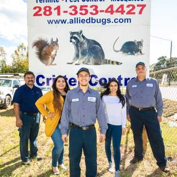 Allied Exterminators - Pest Control Near Me - Spring, Texas Allied Exterminators - Pest Control Near Me - Spring, Texas