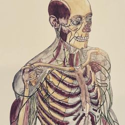 Kiminki Physical Therapy