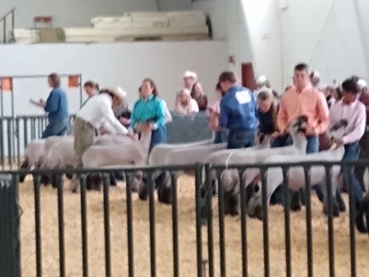 Colorado State Fairgrounds by null