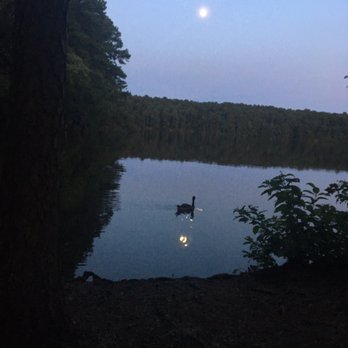 Lake Johnson Park - Beautiful moonlit evening  Full-moon reflecting upon the lake as mother duck leisurely    Living in the moment. . - Parks Near Me - Raleigh, North Carolina