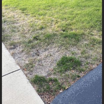Green Services - Pest Control Near Me - Joliet, Illinois