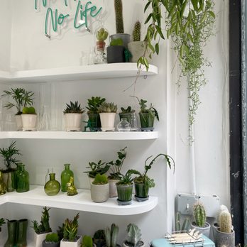 KINKA - No Plants No Life - Arts & Crafts Near Me - New York, New York KINKA - No Plants No Life - Arts & Crafts Near Me - New York, New York