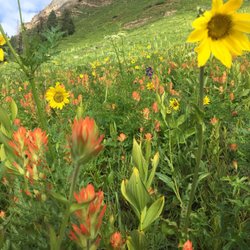 Engineer Mountain Trail