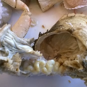 The Buffet - Lot of Crab, Shrimp, Oyster, Clam etc - Buffets Near Me - College Point, New York The Buffet - Lot of Crab, Shrimp, Oyster, Clam etc - Buffets Near Me - College Point, New York
