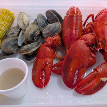 Alive & Kicking Lobsters - Seafood Near Me - Cambridge, Massachusetts