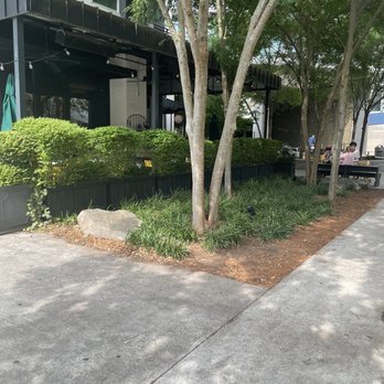 Bread & Butterfly - Outside - Breakfast & Brunch Near Me - Atlanta, Georgia