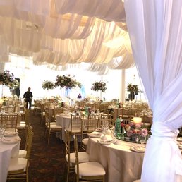 Wedding Wedding