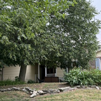 Emergen Trees - Before - Tree Services Near Me