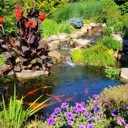 Pond Country
