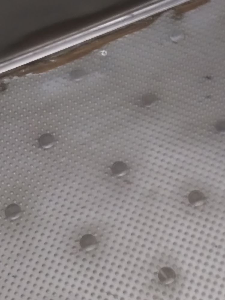 ECKHART PARK SENIOR APARTMENTS Updated October 2024 838 N Noble