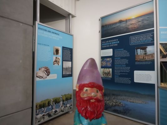 Alabama Aquarium at the Dauphin Island Sea Lab by null