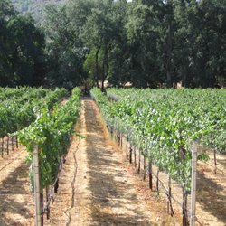 Indian Rock Vineyards