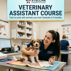 Stellar Career College