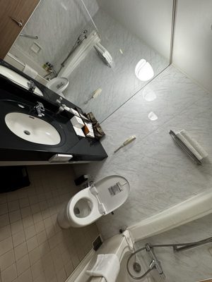 HOTEL THE CELESTINE TOKYO SHIBA by null